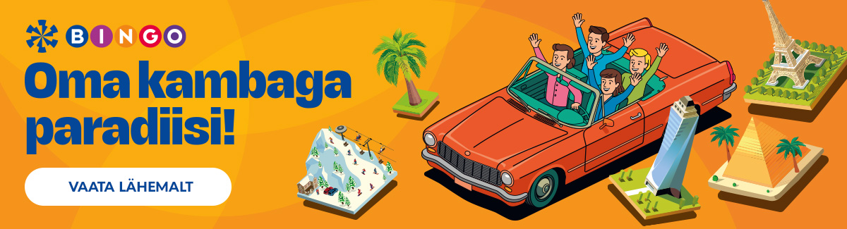 bingo 2025 lisaloos game est